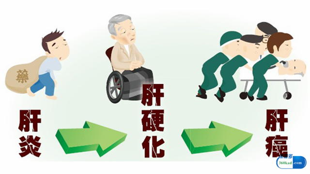 小康每日说：华蟾素片只能止痛？它的具体功效是什么？