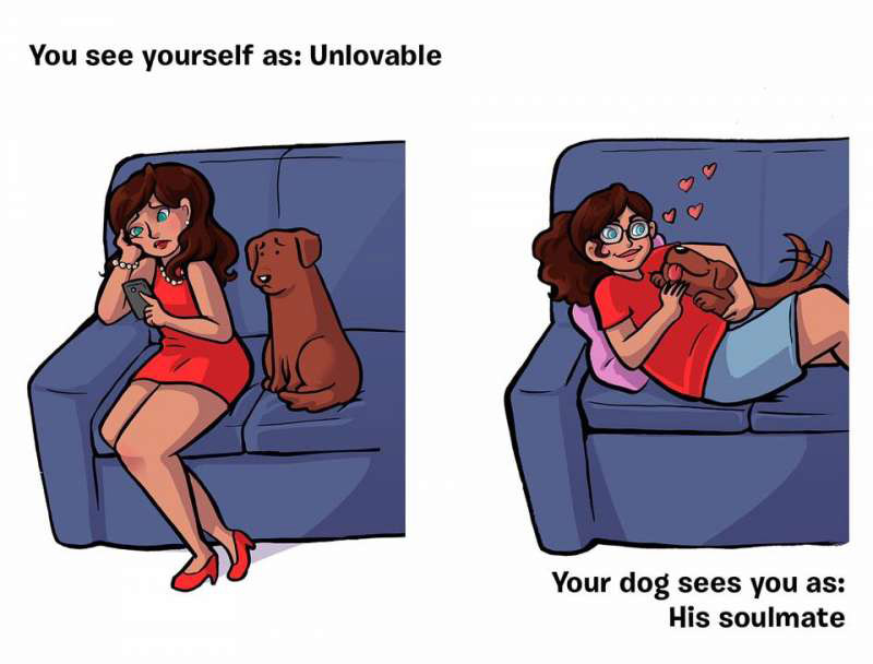 让你看完喷著泪冲去把爱犬抱紧紧的“狗狗眼中的主人”漫画