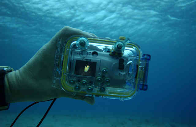 干货教程：原来明星式的水下摄影是这样完成的！