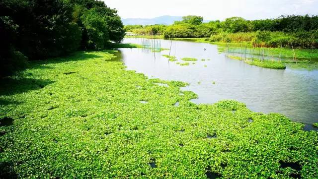 浙江这几个小众旅游胜地，有九成游客不知道，景美还人少