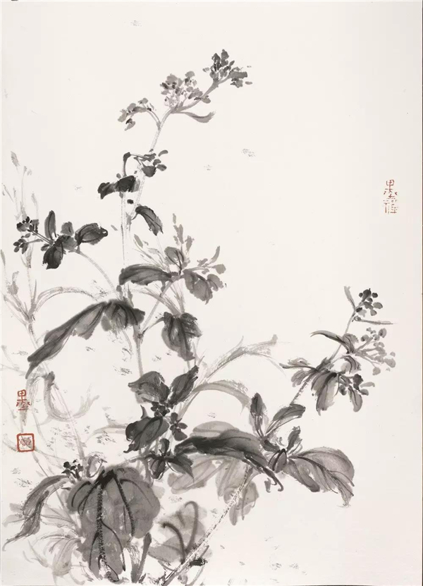 以率真之心探索,以清新与书卷之气涵养——青年画家韩斌在写意花鸟画