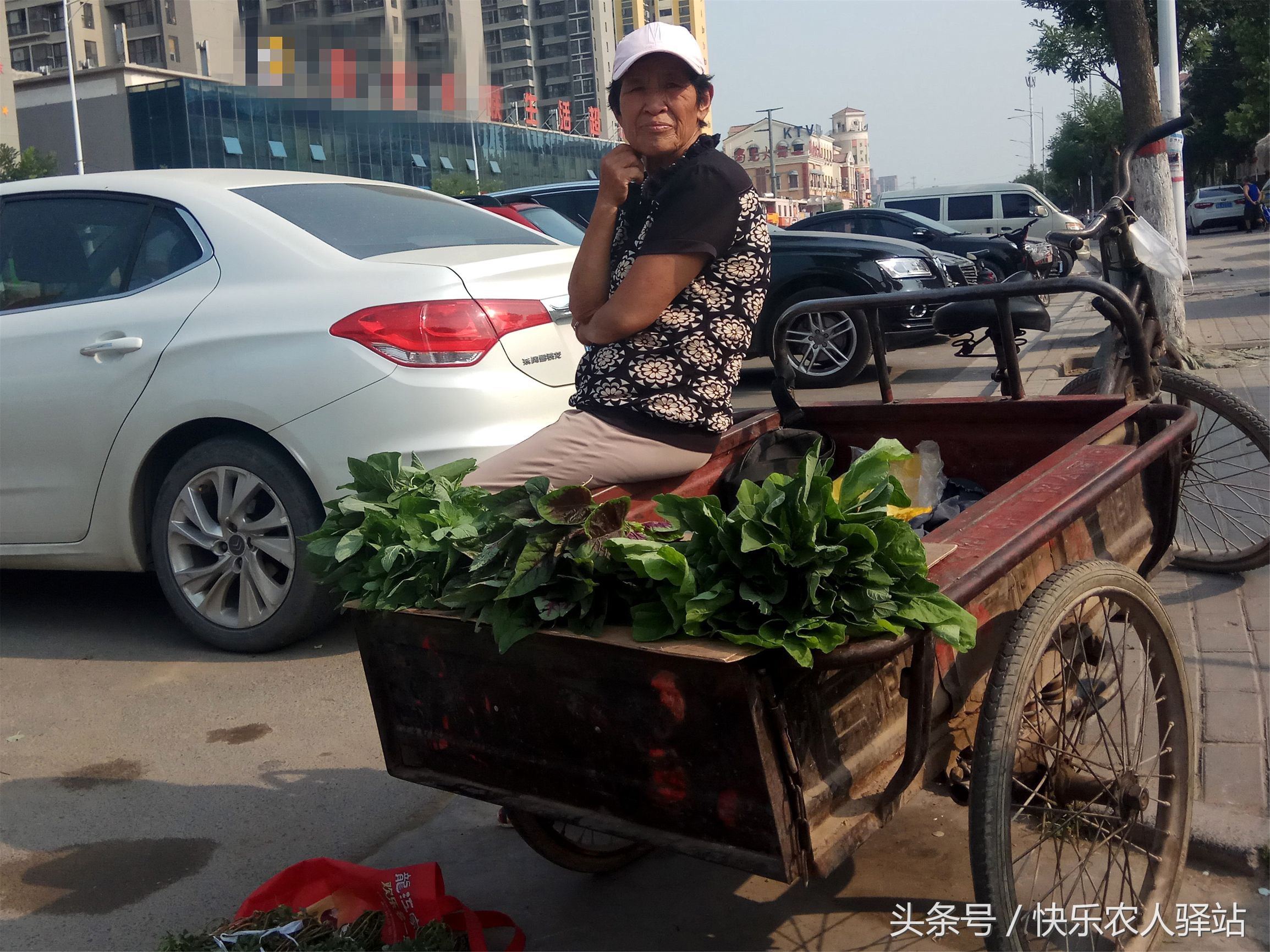 不忍心看,高温下卖菜,每天只赚几十块的小生意人