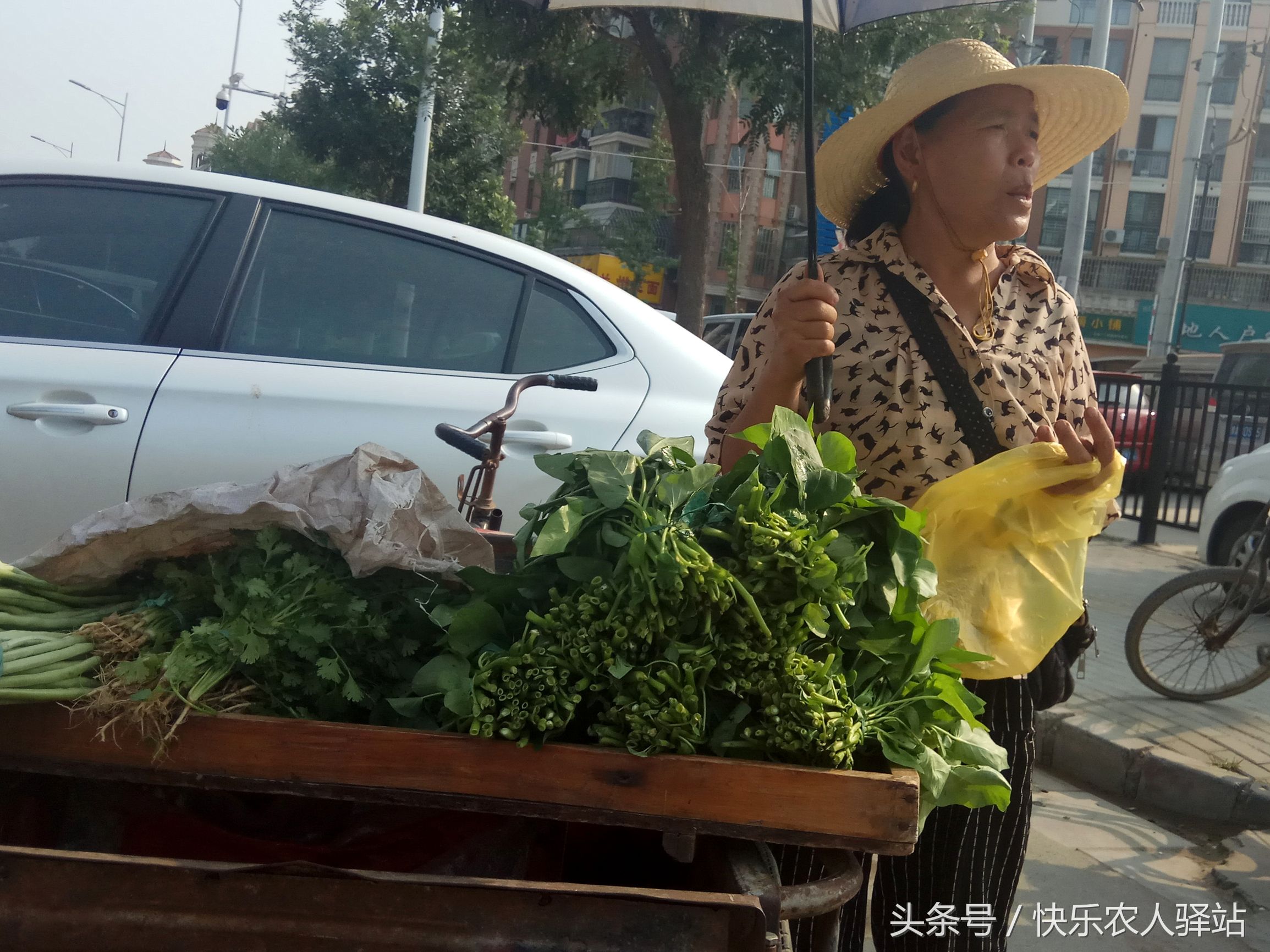 门店卖菜摆菜技巧图片图片