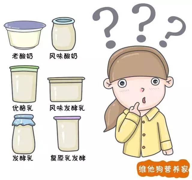 发酵乳、优酪乳、老酸奶、风味酸奶等众多酸奶到底有啥区别？3分钟治好你的选择困难症｜我们