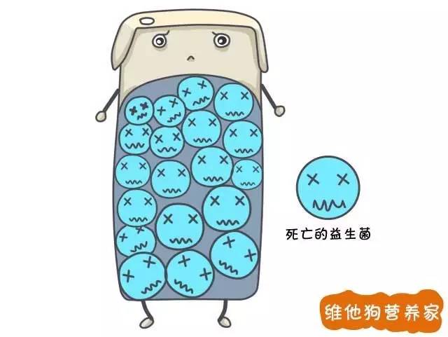发酵乳、优酪乳、老酸奶、风味酸奶等众多酸奶到底有啥区别？3分钟治好你的选择困难症｜我们