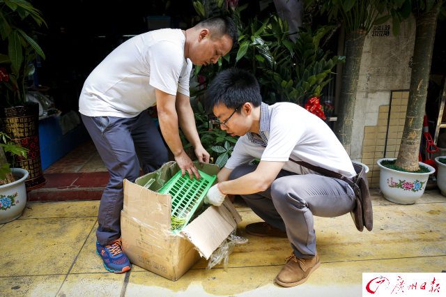 店里忽然來了一只“小怪獸”！證實為綠鬣蜥，屬國家重點保護動物