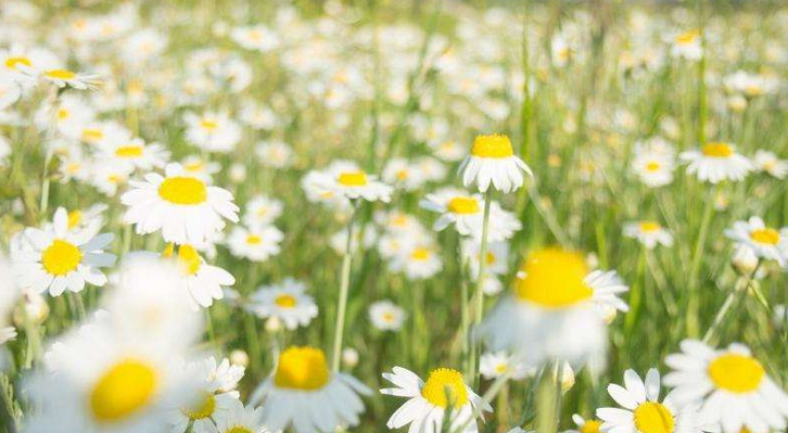 ES兵法：谈谈显示器色温那些事儿