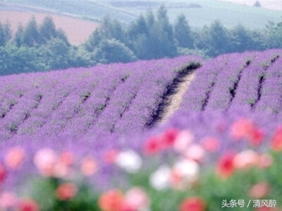 朋友圈的不离不弃的唯美句子 因为疼惜，所以不离不弃图片