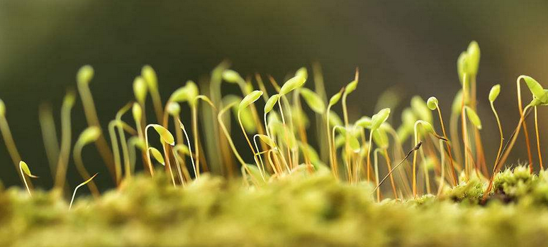 ES兵法：谈谈显示器色温那些事儿