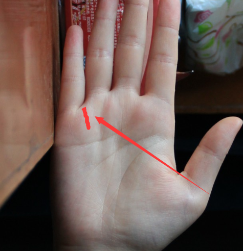 大富大贵的女人手相特征,你是不是其中之一