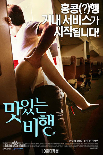 韩国超美空姐她们的《诱人的飞行》 电影海报极为挑逗