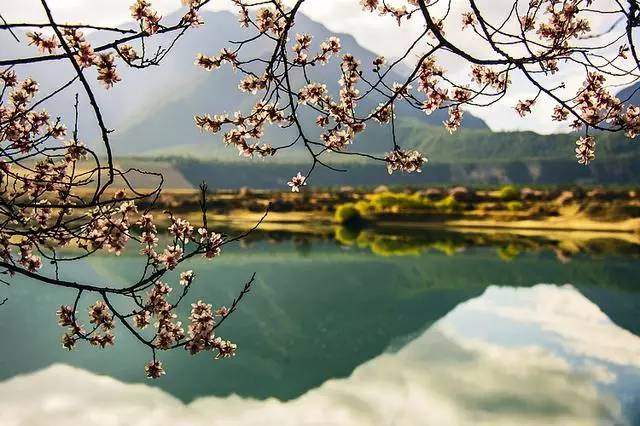小众玩法 | 西藏这个地方,珍藏了中国最美的春天！