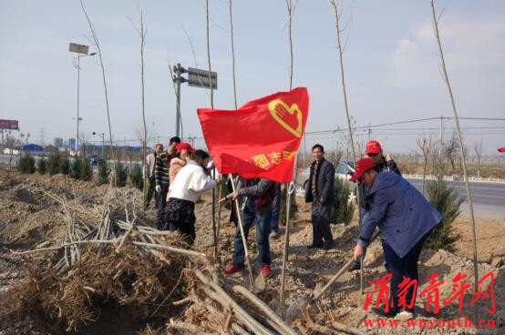 大荔县许庄镇团委开展“共建青年林，为身边添绿”义务植树活动