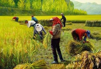 进口国外粮食，就能改变“小农经济”吗？