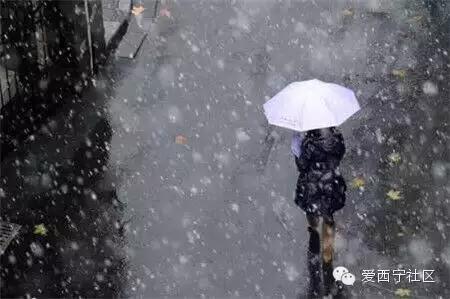 阳春三月，别人赏花时青海人竟然在看雪！