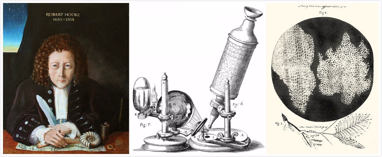 穿越200年前，疫苗疗法是怎样诞生的？