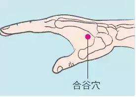 中医基本养生常识，太实用，好好收藏！-第5张图片-农百科