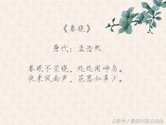 诗词欣赏：孟浩然最美十首诗-第3张图片-非凡网