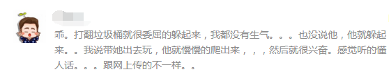 我的调皮全仗着你的宠爱，流浪两次的哈士奇乖得让人心疼