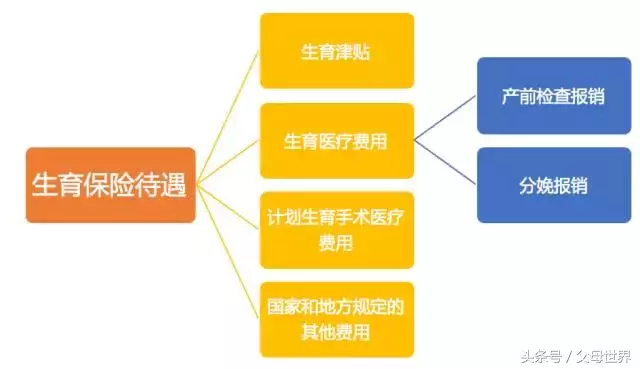 生育保险是什么？该了解了！别人都拿到生育津贴了，你还等什么呢 第3张