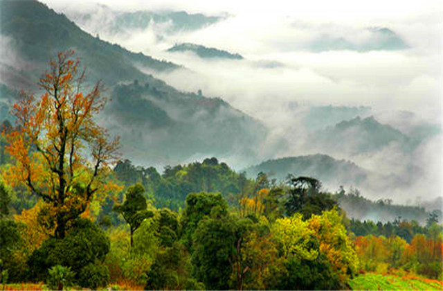 藏着一处大自然造化无限的景区--天宝岩