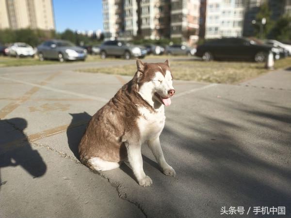 vivo X20全面屏手机体验评测：足够强悍