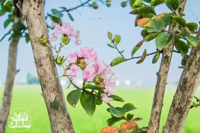 老灵了！“共享农场”强势登陆上海啦！还能一键送菜上门！