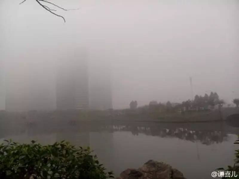 厦门日报社融媒体直播：雨、雾、雷、电出行请小心！