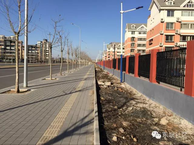灭隐患 | 北京东坝家园西侧无人区将近500米长杂草带被清除