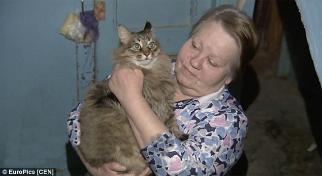 当弃婴在寒冬街头被发现时，流浪猫正用身体为他取暖救他一命