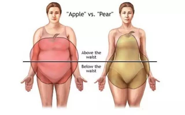 你是“苹果形”还是“梨形”身材？如何针对性减肥？