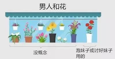 看到第一图就给跪了，这样的队友，还是散了吧