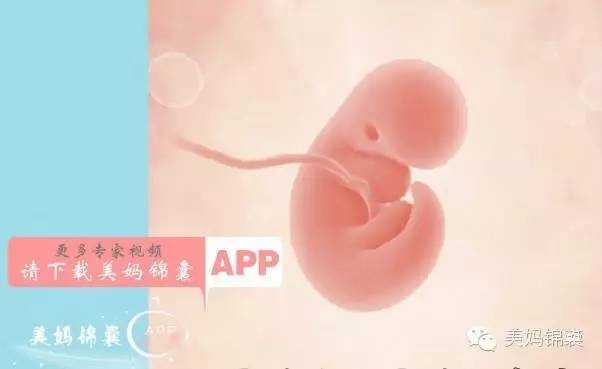 育儿专家郑玉巧：怀孕两个月准妈妈和胎宝宝都发生了那些变化？