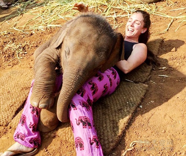 去泰国游玩的话不要骑大象了 和小象一起玩耍吧