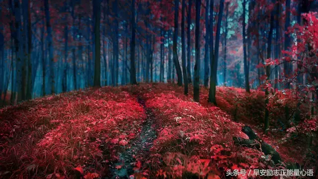 送给对方不珍惜的句子 给不重视我的人的句子图片