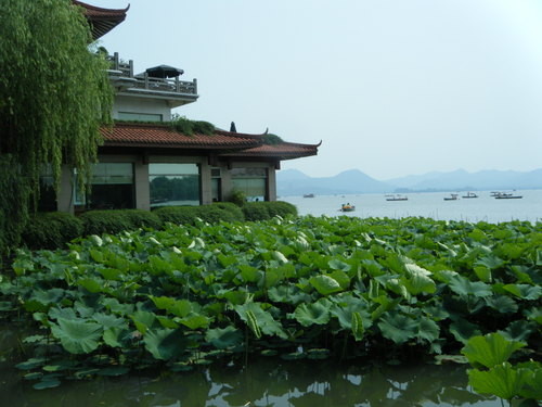 学会珍惜和感恩的句子 懂得感恩的正能量句子图片