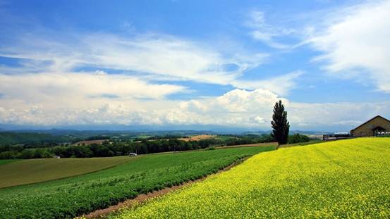 经典语录,快乐下午茶时间(171030-搞笑)