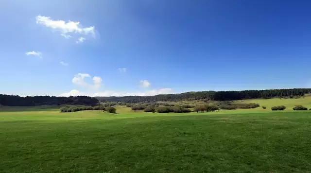 重庆所有的5A级和4A级景区都在这里了，走，一个个玩遍！
