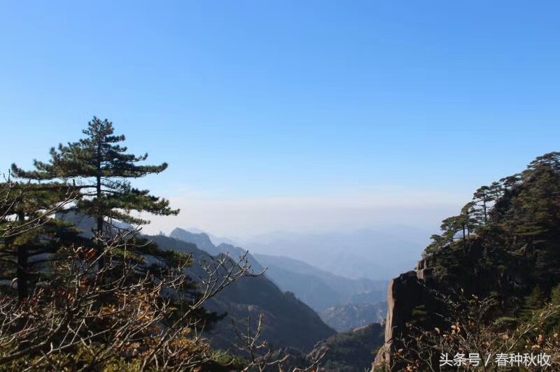 黃山四絕，奇松、怪石、云海、溫泉