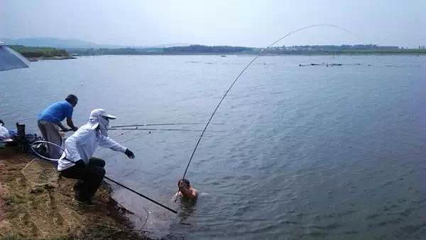 人类已经无法阻止这二货钓鱼了！