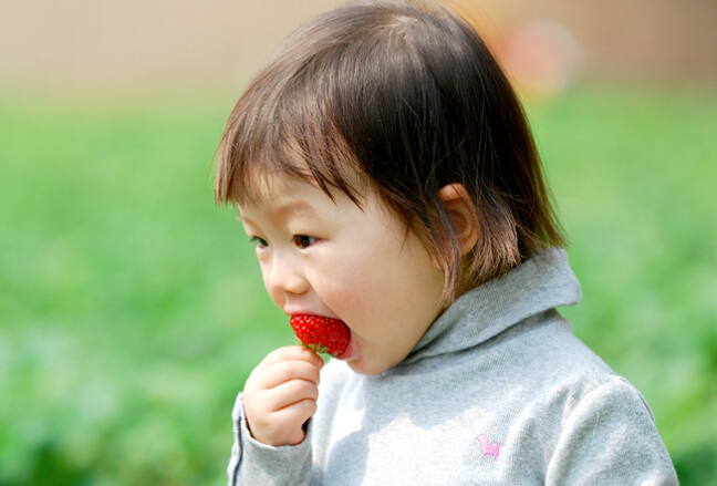 春季爸妈都爱带着孩子去摘草莓，但是你要小心孩子得病哦！