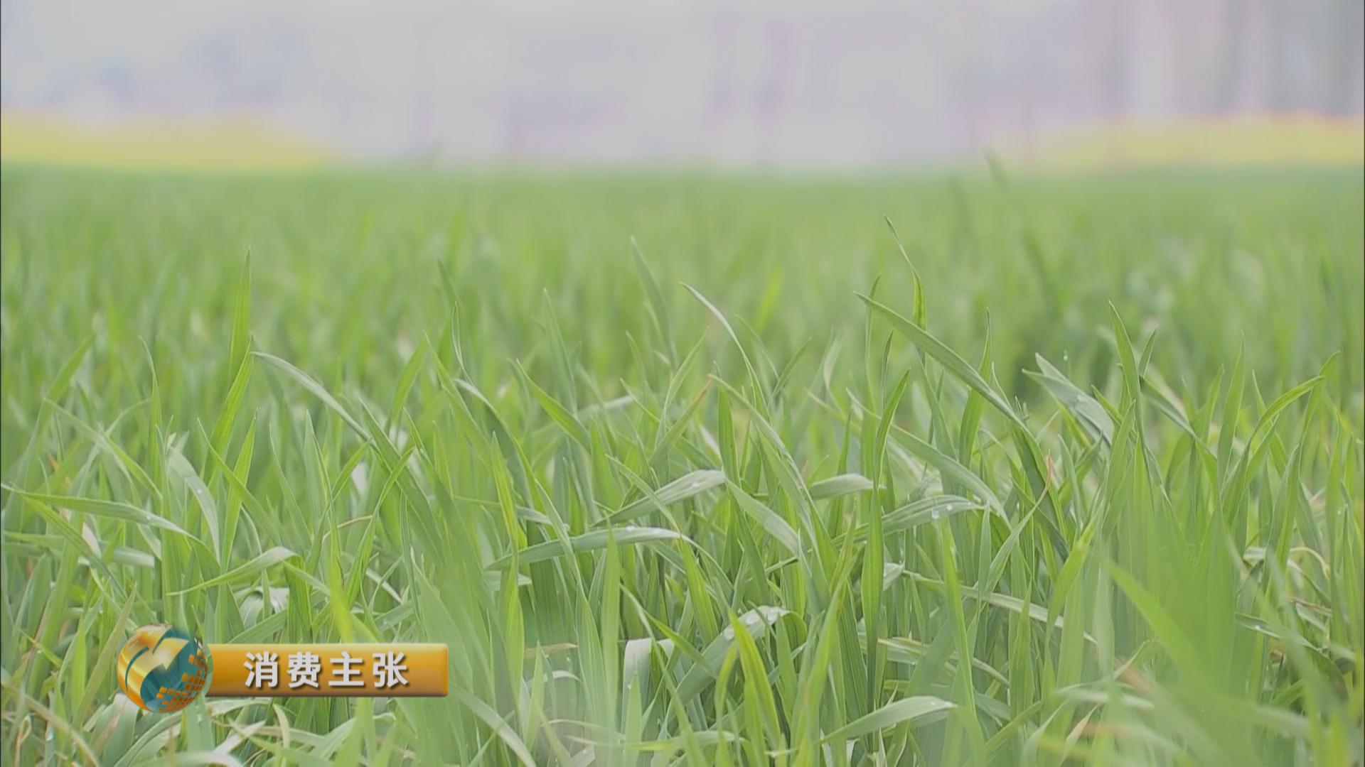 假农药致稻子一亩减产300斤！你买的农资“三证”齐全吗？