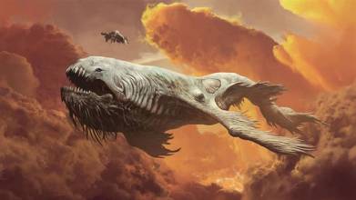 寻觅国度：史前超强顶级掠食者——梅氏利维坦鲸