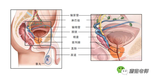 这7个病不治好，千万别怀孕！备孕爸妈们一定要看