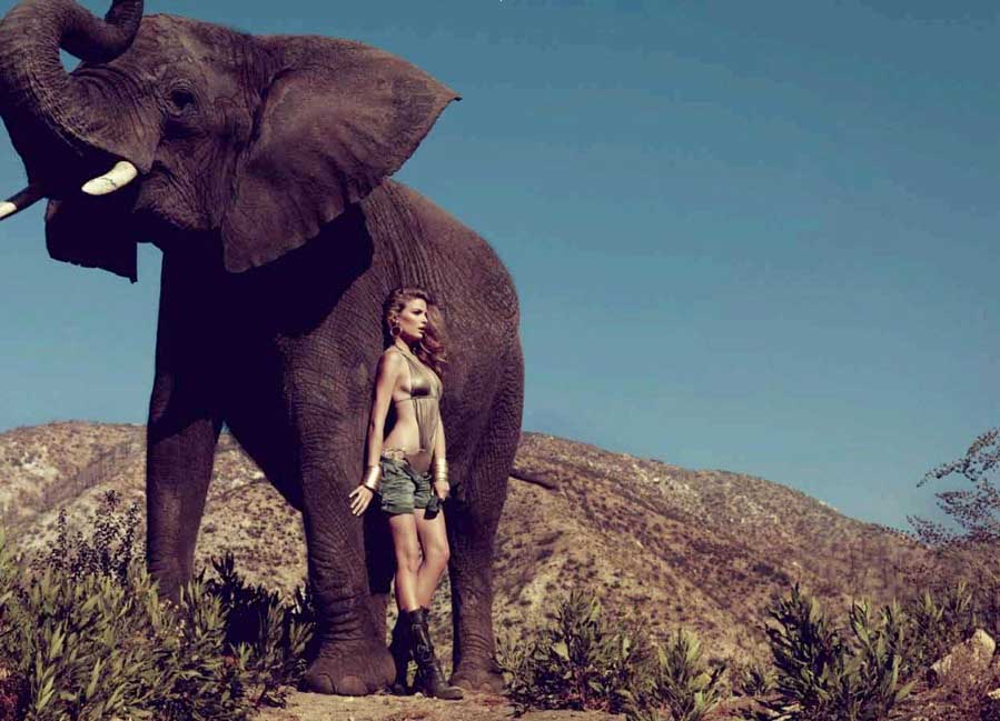 混时尚圈怎能胆小，美女与大象才是绝配