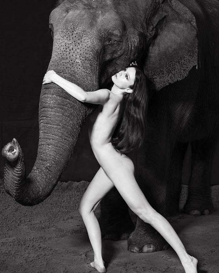 混时尚圈怎能胆小，美女与大象才是绝配