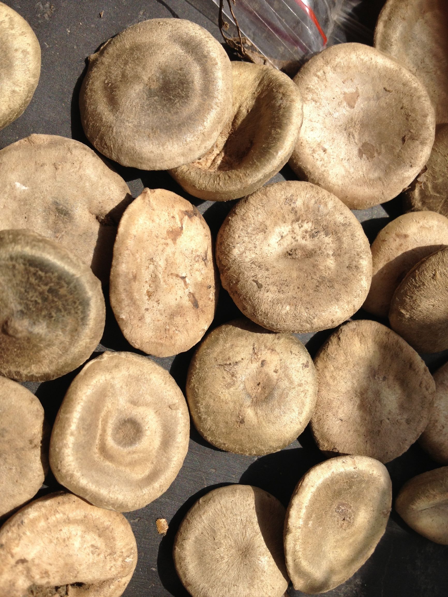 21种需要炒制的中药一次看全,炒制方法