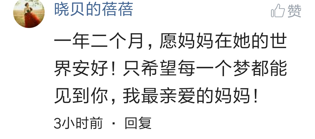 Want what to word say to gone family member? Netizen comment looks cried