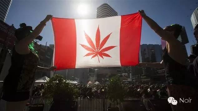 荷兰大麻合法化尝到了甜头，现在加拿大与墨西哥也动心了