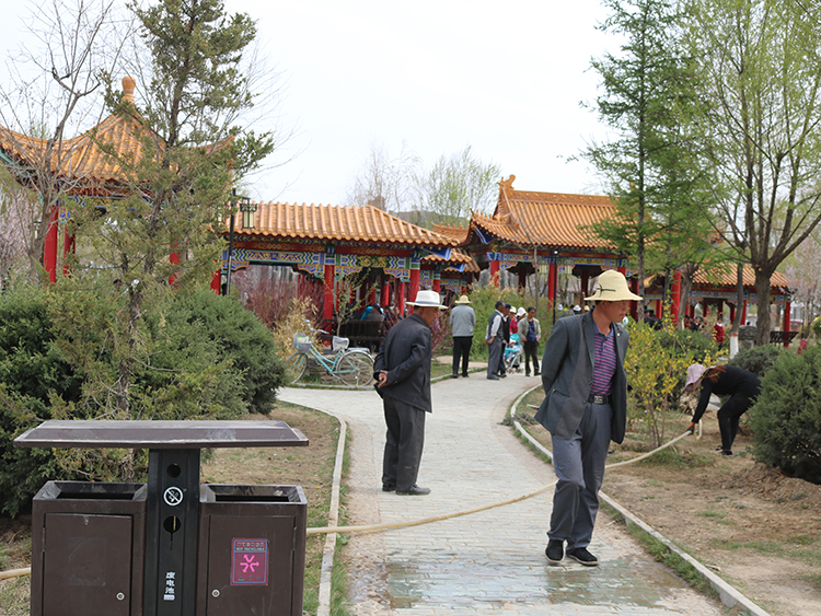 昔日的岷县人民公园有了夏的气息